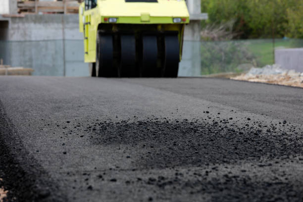Best Commercial Driveway Pavers  in Dudley, NC