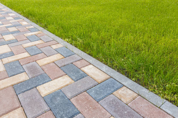 Best Residential Paver Driveway  in Dudley, NC